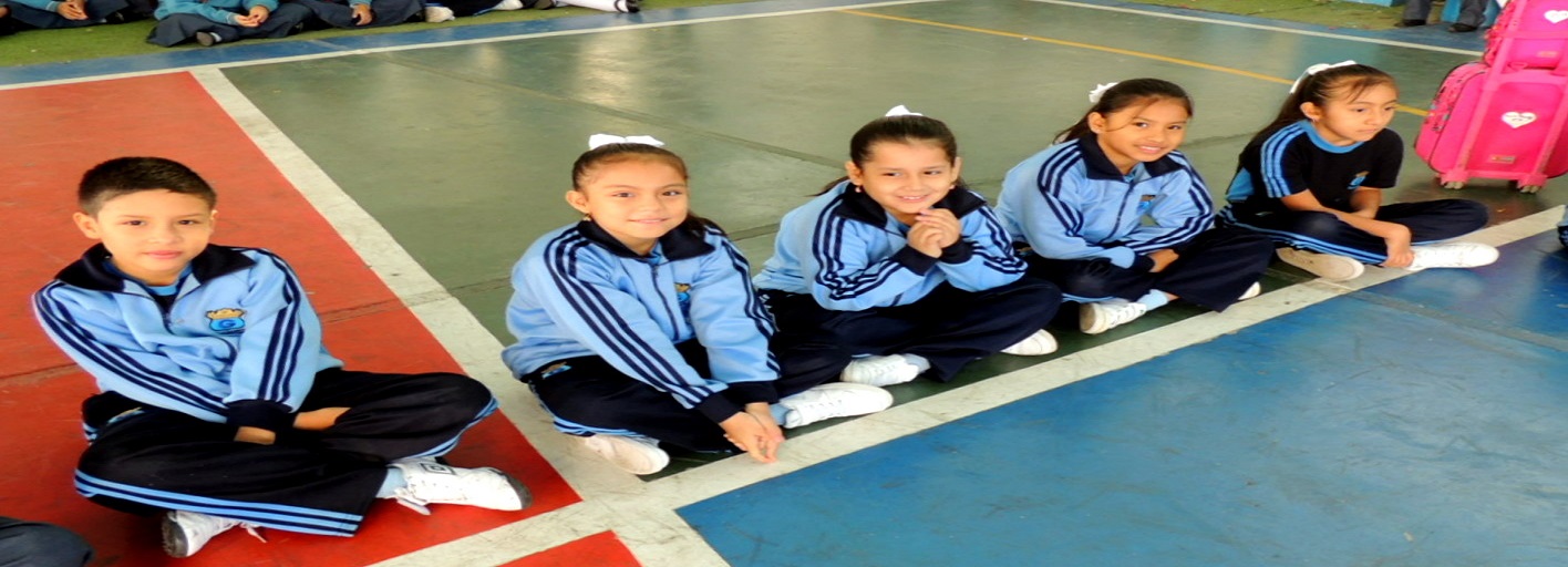 Admisión 2026 - Colegio Guadalupe